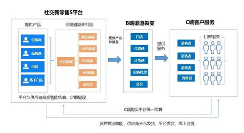 快速打造s2b2c移动商城平台,全渠道升级构建智能零售生态圈