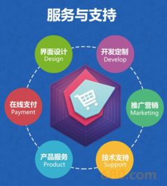 b2c商城系统定制 高端商城网站建设自适应商城购物一条龙全包pc站 手机站 微信站