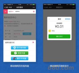 b2c商城系统定制 高端商城网站建设自适应商城购物一条龙全包pc站 手机站 微信站